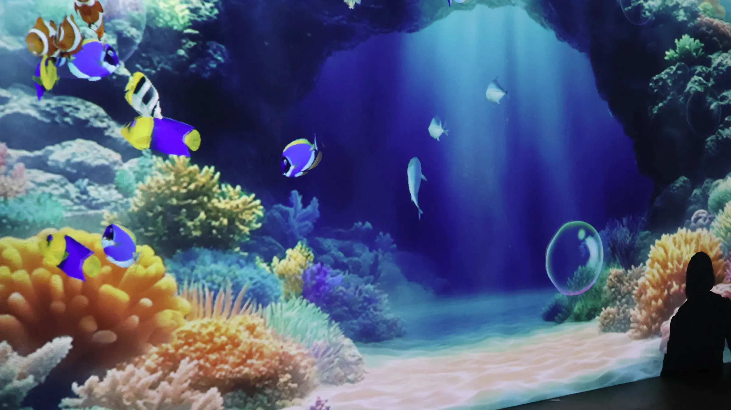 An underwater scene from an aquarium. A variety of vibrant tropical fish, including clownfish and, aquarium & fish supplies ecommerce