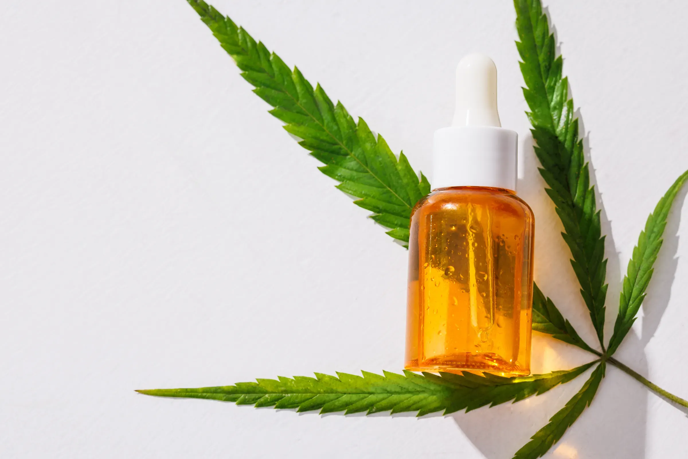 Dropper bottle filled with cannabis oil on a marijuana leaf background on a white background, cbd & hemp ecommerce