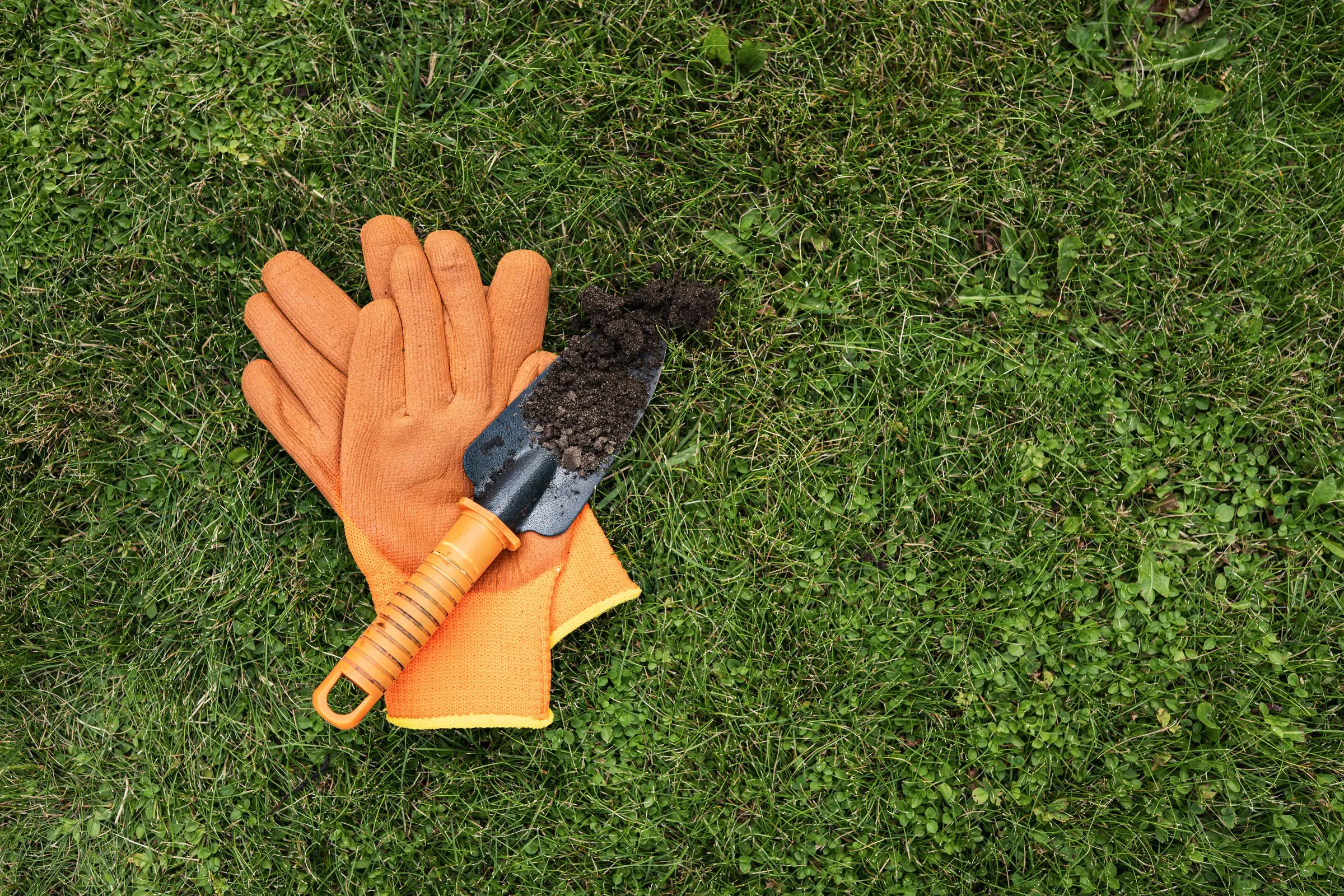 Gardening gloves and hand trowel with soil on green grass top view, garden tools ecommerce