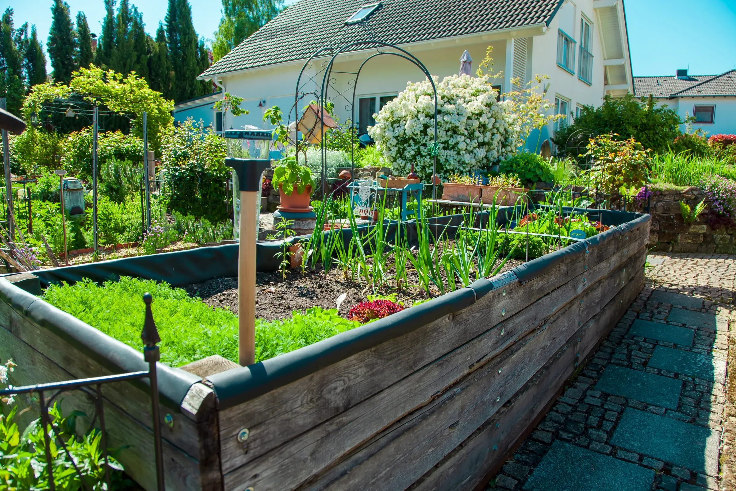 Residential garden, private vegetable garden. Landscape design in home garden, beautiful landscaping in, greenhouses & raised beds ecommerce