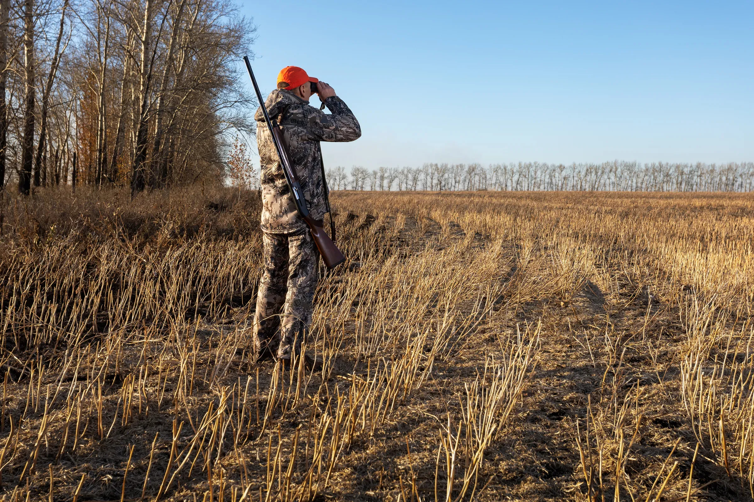Hunter in a camouflage suit looks through binoculars on the hunt at autumn season hunting, hunting gear ecommerce