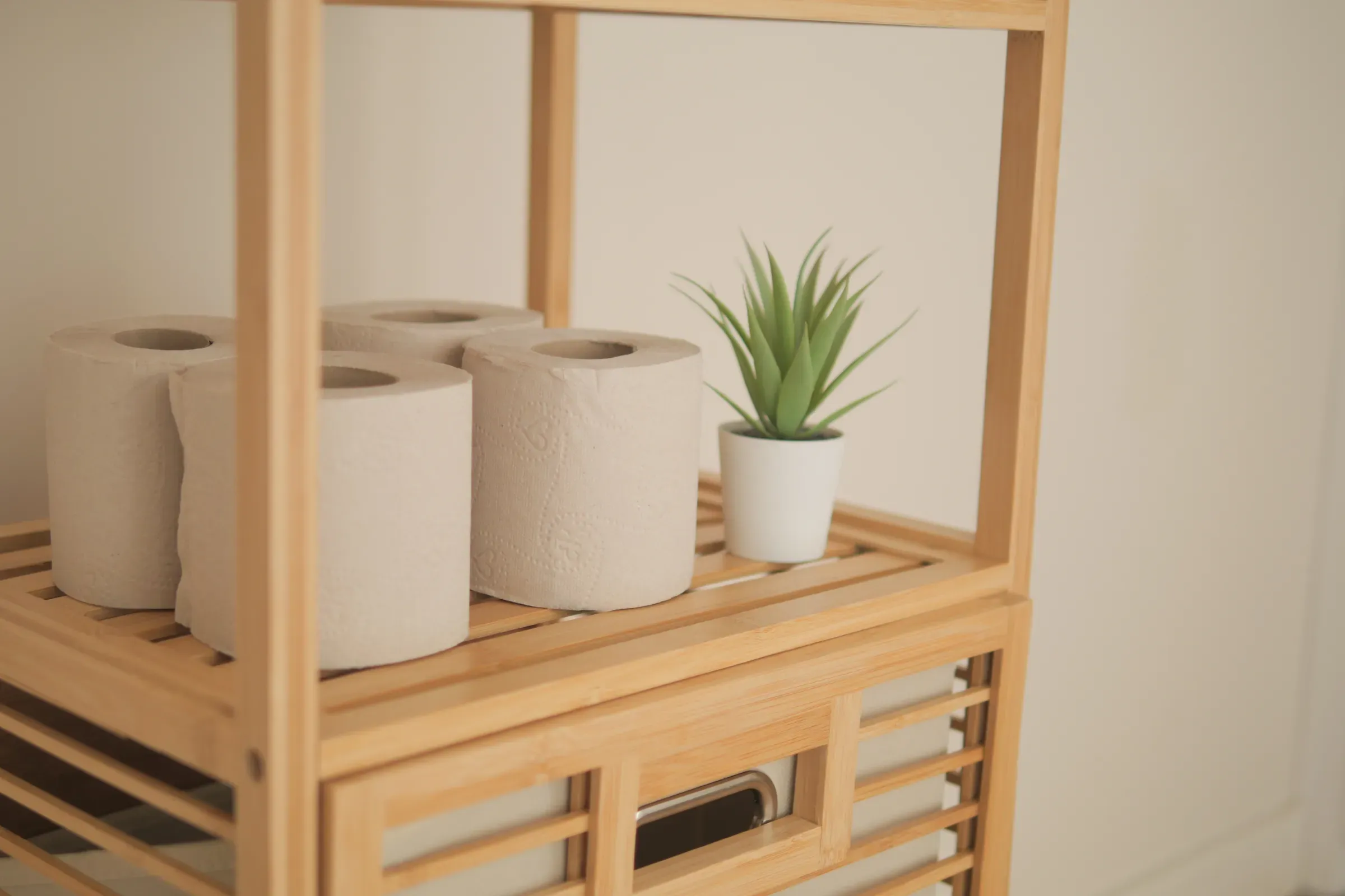 Wooden Shelf Holding natural bamboo Toilet Paper Rolls, paper & bamboo goods ecommerce