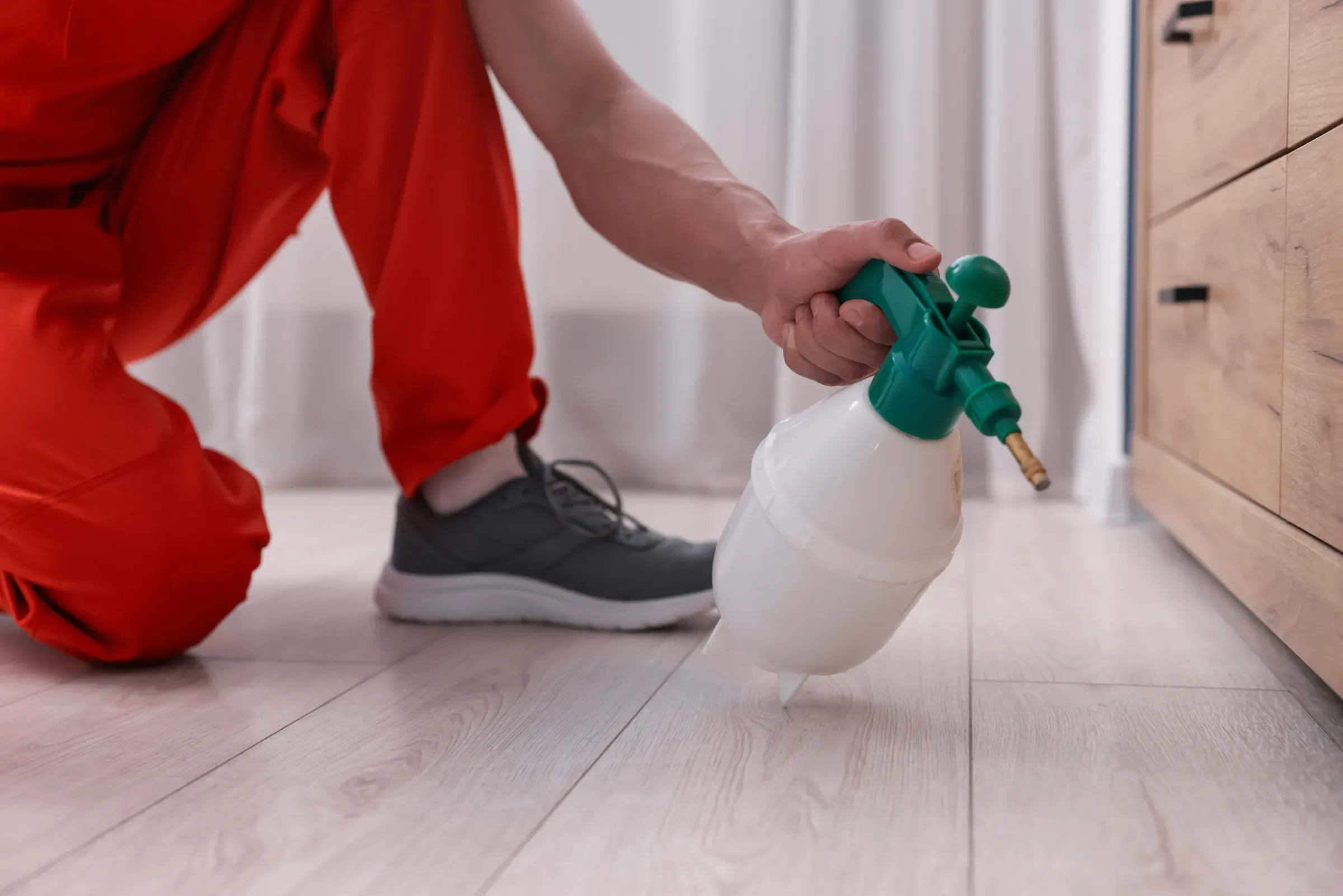 Pest control worker spraying insecticide at home, closeup, pest control products ecommerce
