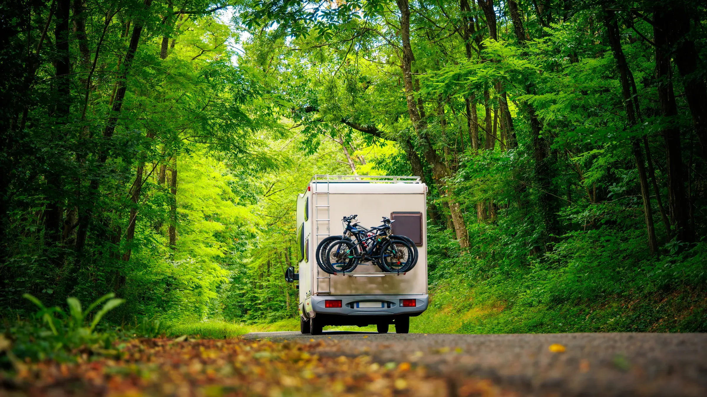 Motor home in the forest- travel, adventure, road trip, rv & camper accessories ecommerce