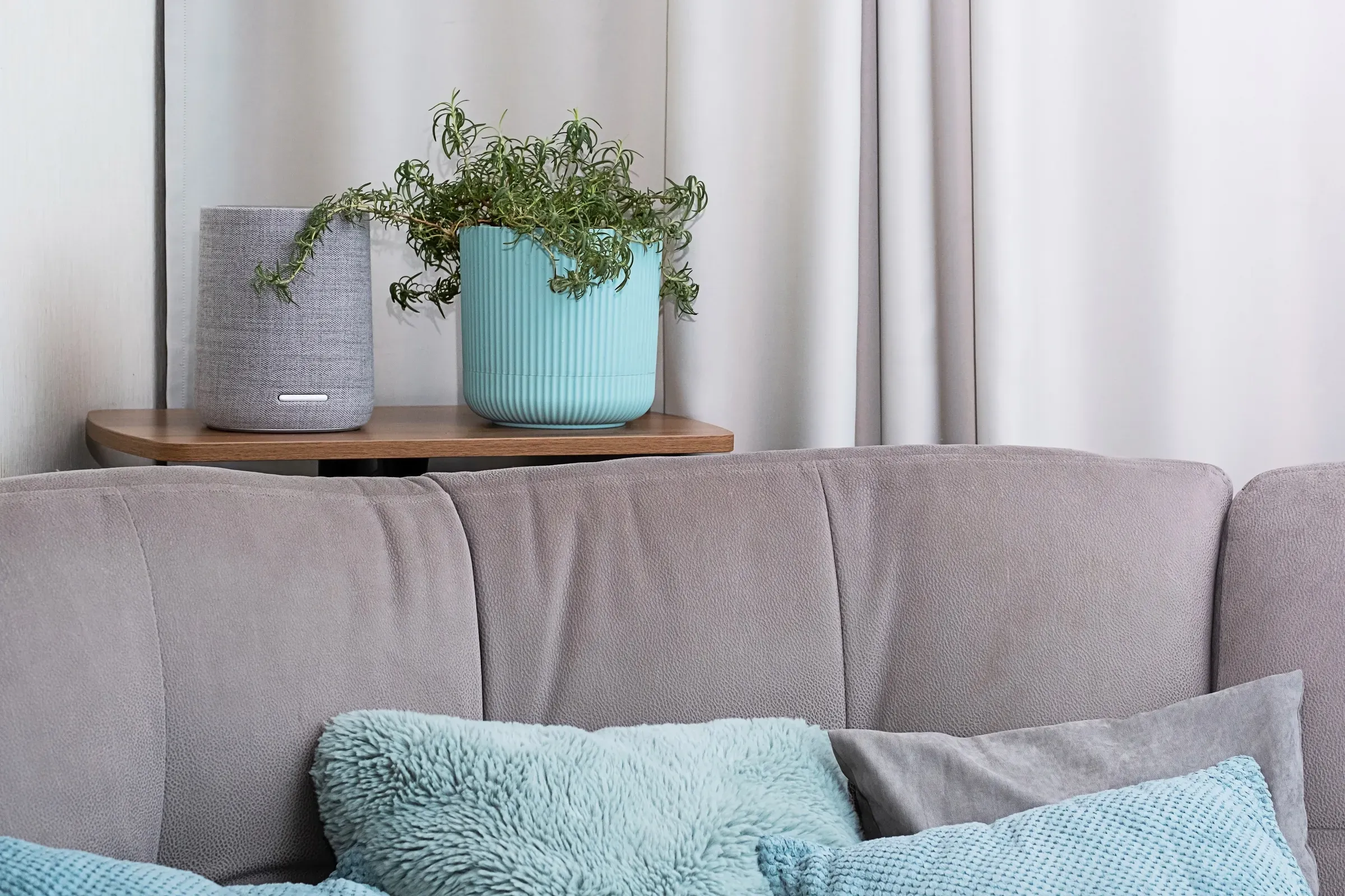 Cozy living room with potted plant and smart speaker on side table, smart home devices ecommerce