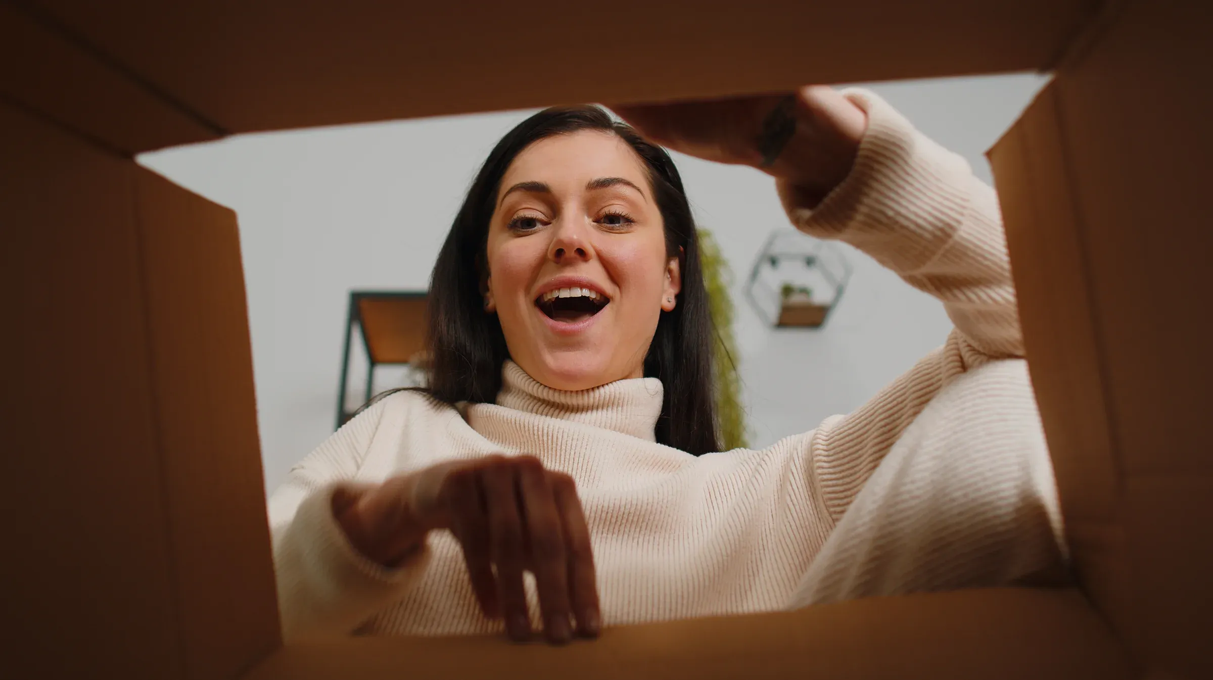 A customer opening a delivery, seen from inside the box