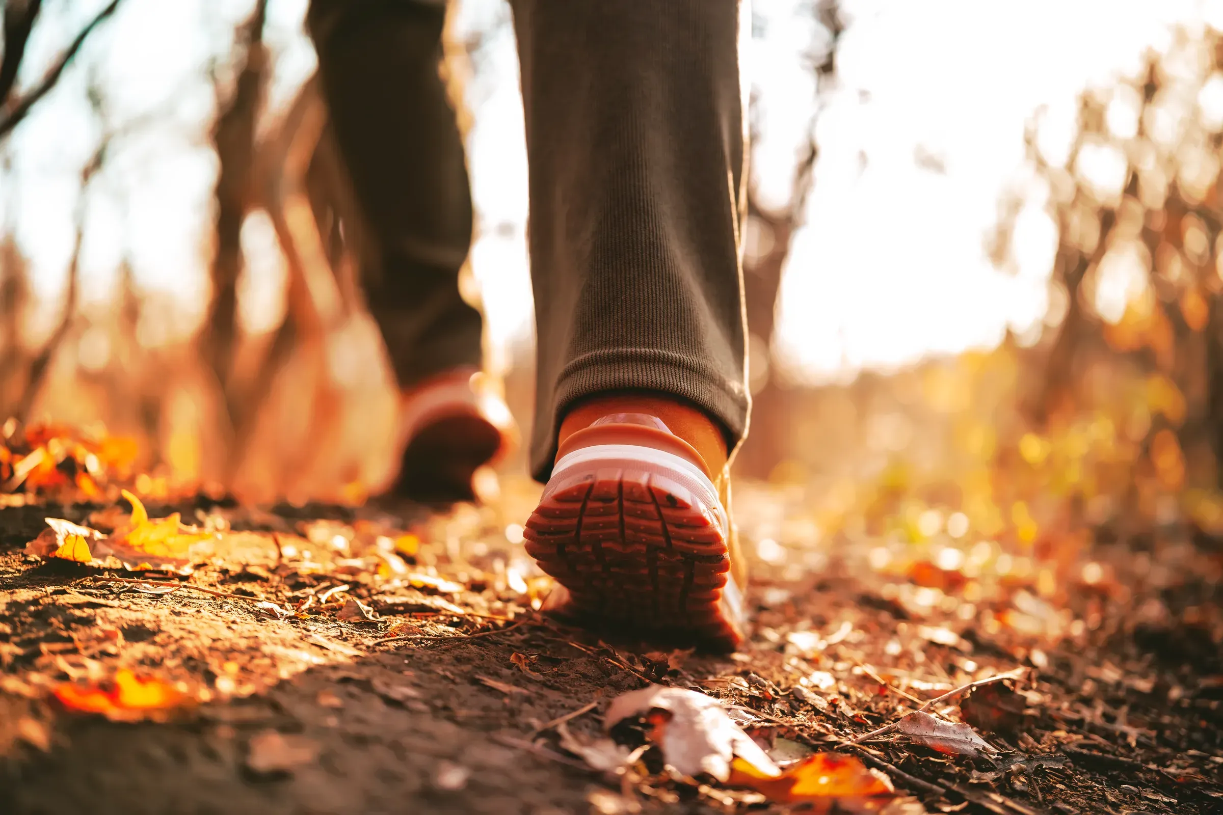 Close-up of person's feet in sneakers walking on a forest path covered with dry autumn leaves during a hike, wide-fit shoes ecommerce