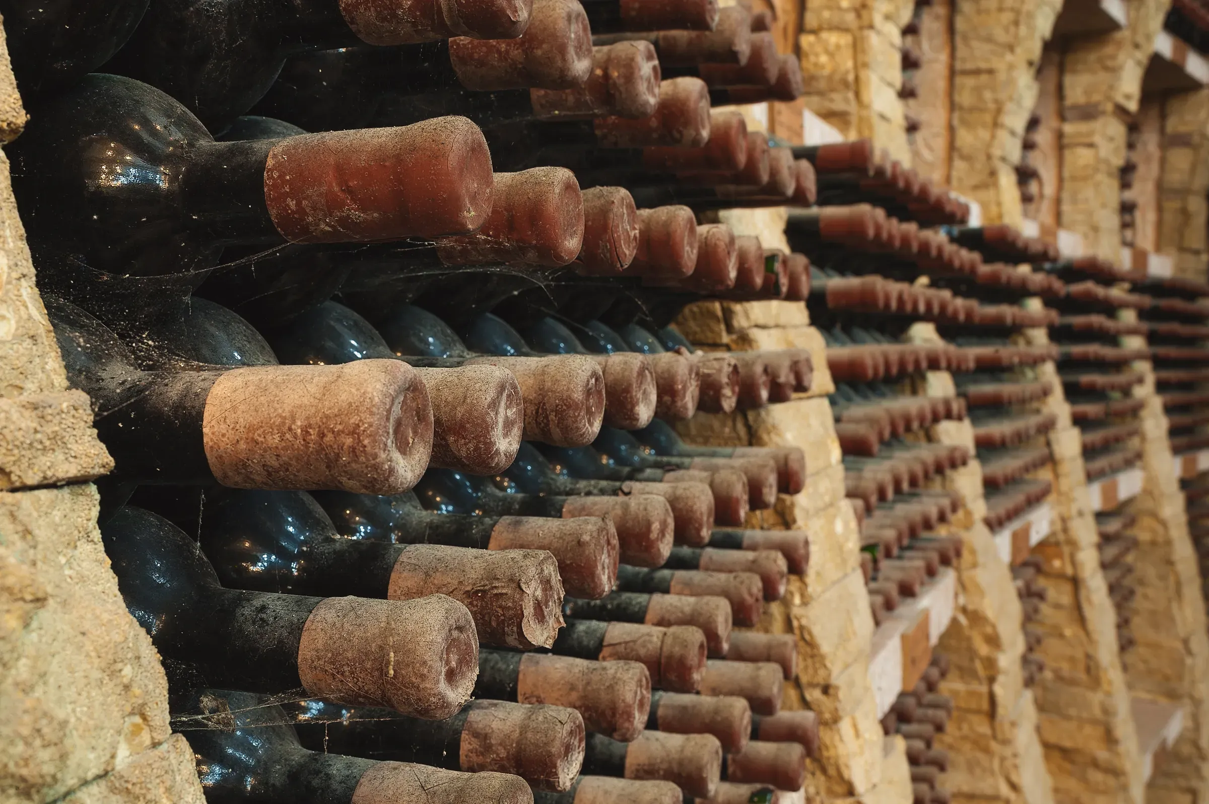 Wine bottles from vineyard cellar, wine dtc ecommerce